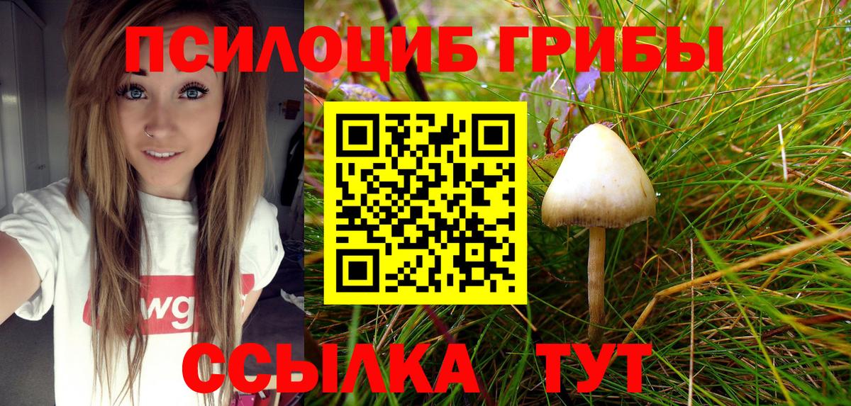 Галлюциногенные грибы GOLDEN TEACHER Киржач