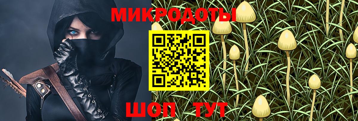 Галлюциногенные грибы Cubensis  Вход с VPN  Киржач 